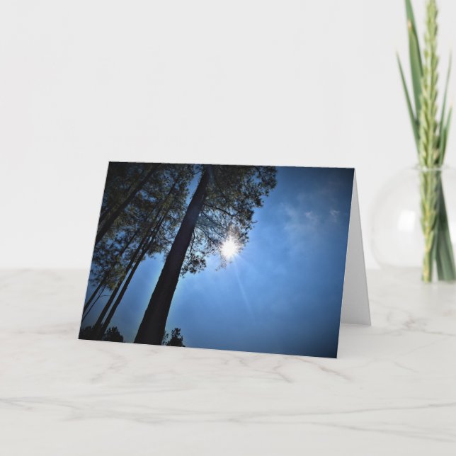 Sonnenlicht durch Pinienbäume, Karte (Vorderseite)