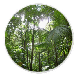 Sonnenlicht durch Regenwaldkanopie tropisches Grün Keramikknauf