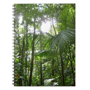 Sonnenlicht durch Regenwaldkanopie tropisches Grün Notizblock