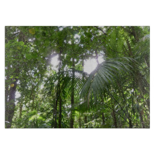 Sonnenlicht durch Regenwaldkanopie tropisches Grün Schneidebrett