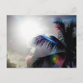 Sonnenlicht im Paradies Postkarte