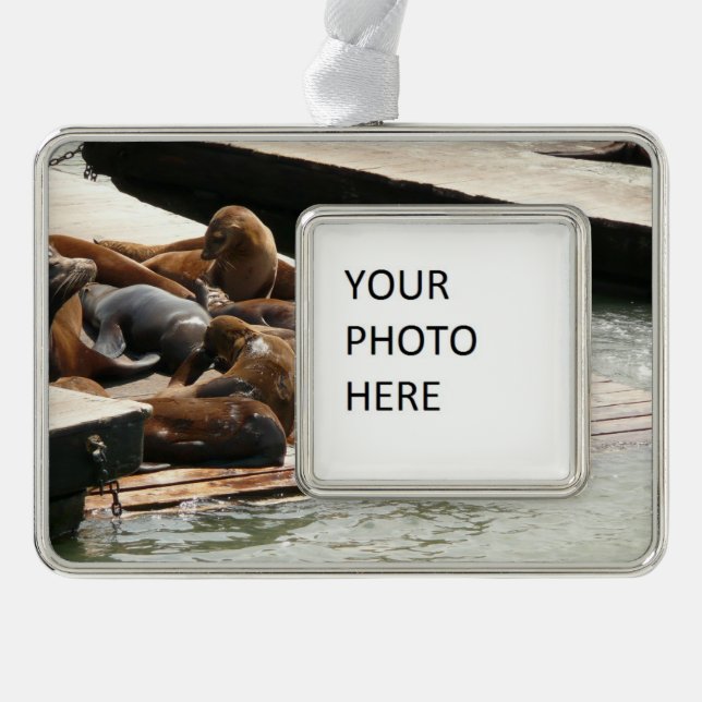 Sonnenlicht in San Francisco Rahmen-Ornament Silber (Vorderseite)