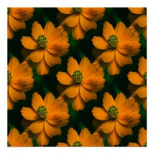 Sonnenlicht Liebe... Poster