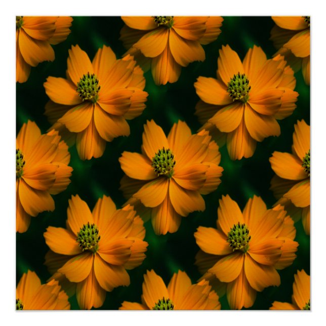 Sonnenlicht Liebe... Poster (Vorderseite)