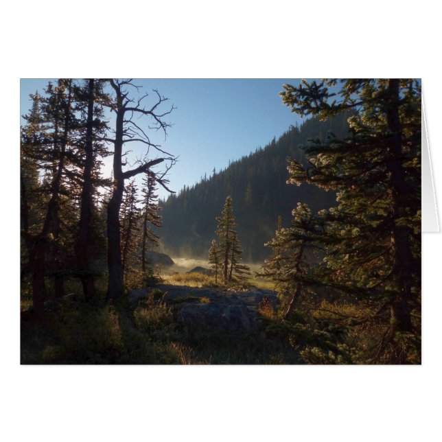 Sonnenlicht Mattierte Pine Treatments am Lago Magg (Vorderseite (Horizontal))