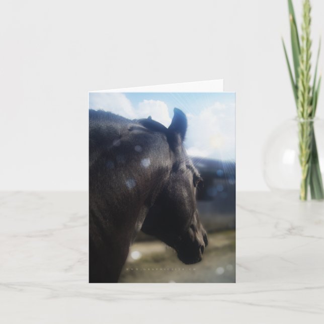 Sonnenlicht - Notecard Feiertagskarte (Vorderseite)
