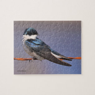 Sonnenlicht Profil eines Baumschlucks Songbird Puzzle