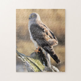 Sonnenlicht Profil eines männlichen nördlichen Har Puzzle