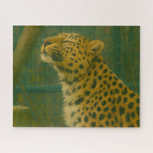 Sonnenlicht - Ruhender Leopard im Waldlicht Puzzle