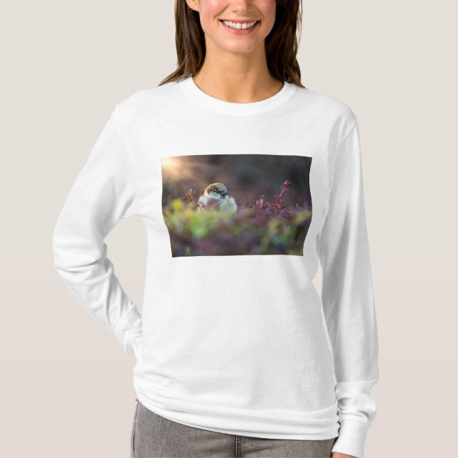 Sonnenlicht T-Shirt (Vorderseite)