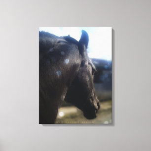 Sonnenlicht - überzogene Canvas Leinwanddruck