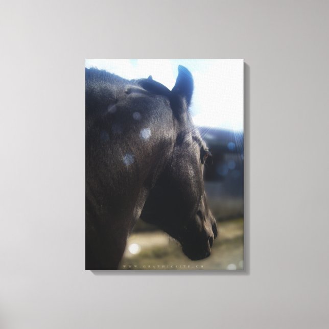 Sonnenlicht - überzogene Canvas Leinwanddruck (Vorderseite)