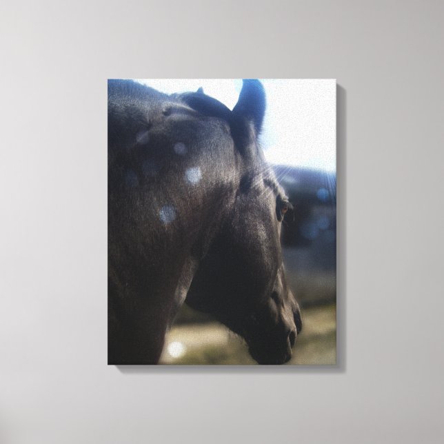 Sonnenlicht - überzogene Canvas Leinwanddruck (Vorderseite)