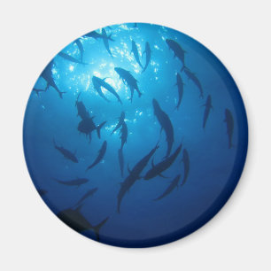 Sonnenlicht und Schutt unter dem Meer Magnet