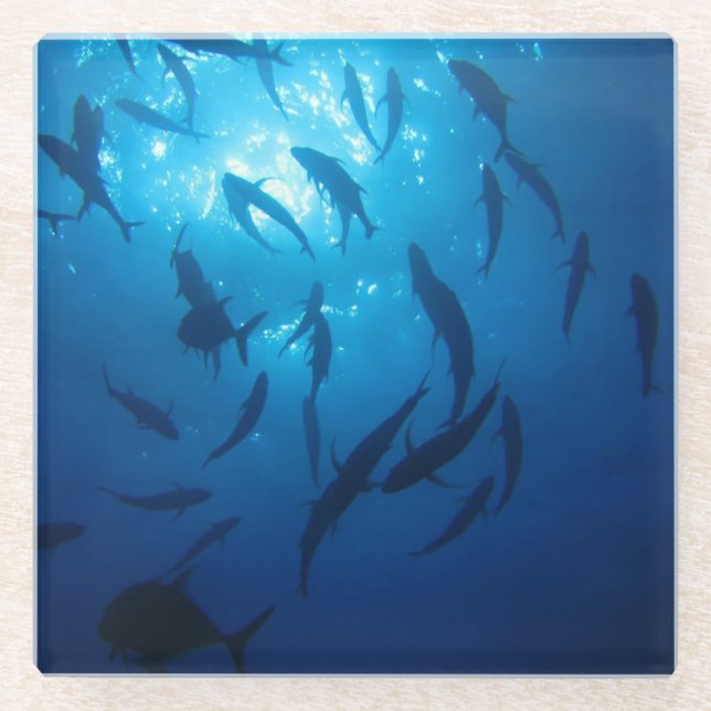 Sonnenlicht unter dem Meer Glasuntersetzer (Vorderseite)