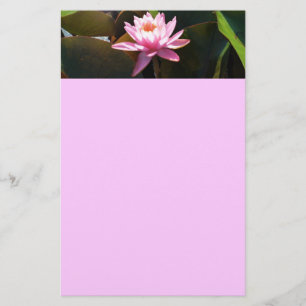 Sonnenlicht Wasserlilie Rosa Blumengarten Briefpapier