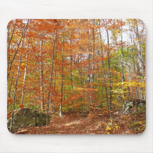 Sonnenlichtdurchgang Entdeckungsreise zur Alp Pior Mousepad (Vorne)