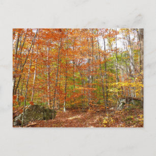 Sonnenlichtdurchgang Entdeckungsreise zur Alp Pior Postkarte