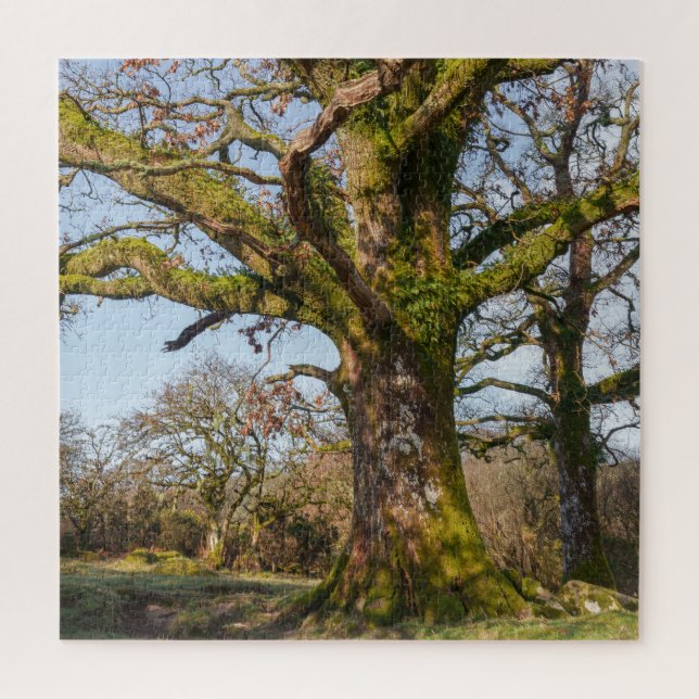 Sonnenlichter Waldweg zu einem alten Baum Puzzle (Vertikal)