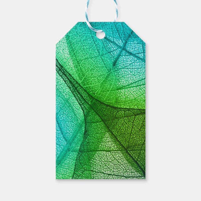 Sonnenlichtfilterung durch transparente Blätter Geschenkanhänger (Vorderseite)