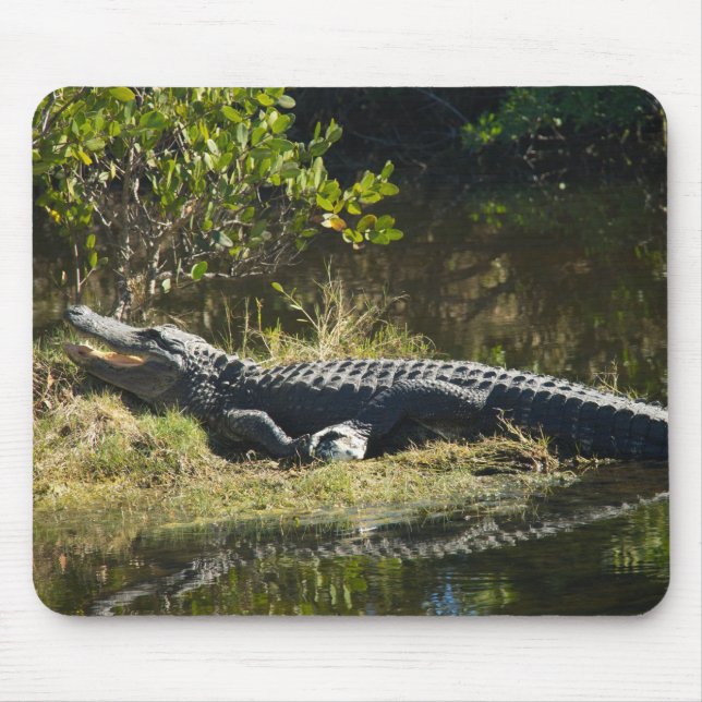 Sonnenmelder Mousepad (Vorne)