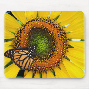 Sonnenmonarch-Schmetterling-Mousepad Mousepad