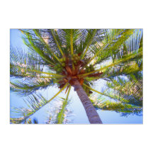 SONNENPALM 10 x 14