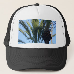 Sonnenpalmen Bäume California Urlaub Truckerkappe