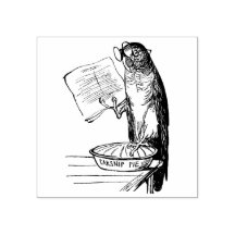 Sonnenpapagei mit Lesebrille und Paprikaschoten