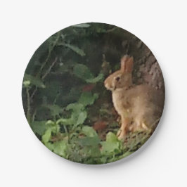 Sonnenpapierplatte - für Kaninchen und Naturliebha Pappteller