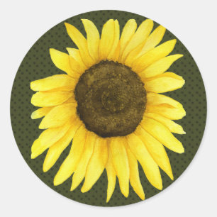 Sonnenschein auf einem Aufkleber