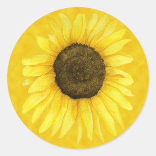 Sonnenschein auf einem Stock-Aufkleber Runder Aufkleber
