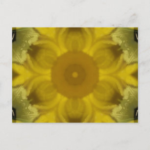 Sonnenschein-Blumen-Ausbruch Golden Postkarte