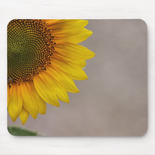 Sonnenschein-Blumenblätter Mousepad (Vorne)