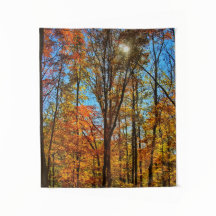 Sonnenschein durch Herbstwald