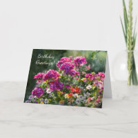 Sonnenschein Flower Garden Wilhelm Tell
