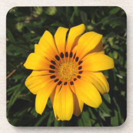 Sonnenschein Getränkeuntersetzer