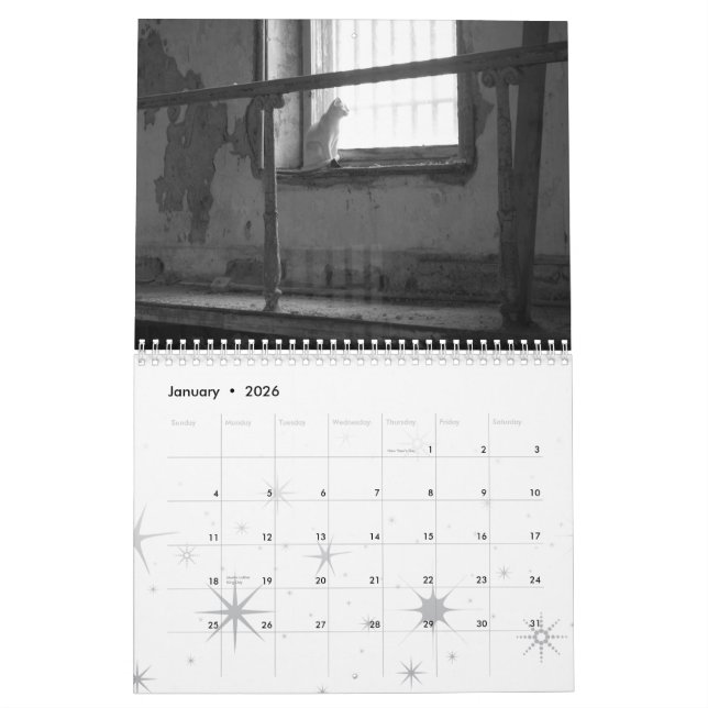 Sonnenschein, Glück und Liebe für 2008 Kalender (Jan 2026)