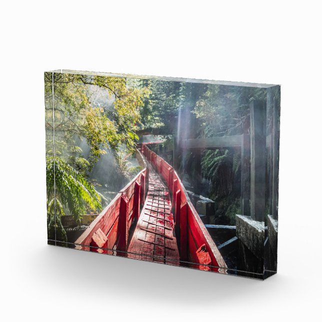 Sonnenschein in den Termas Geometrien, Conaripe, C Fotoblock (Rechts)