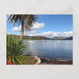 Sonnenschein in Schottland. Bucht mit Palmen und Y Postkarte