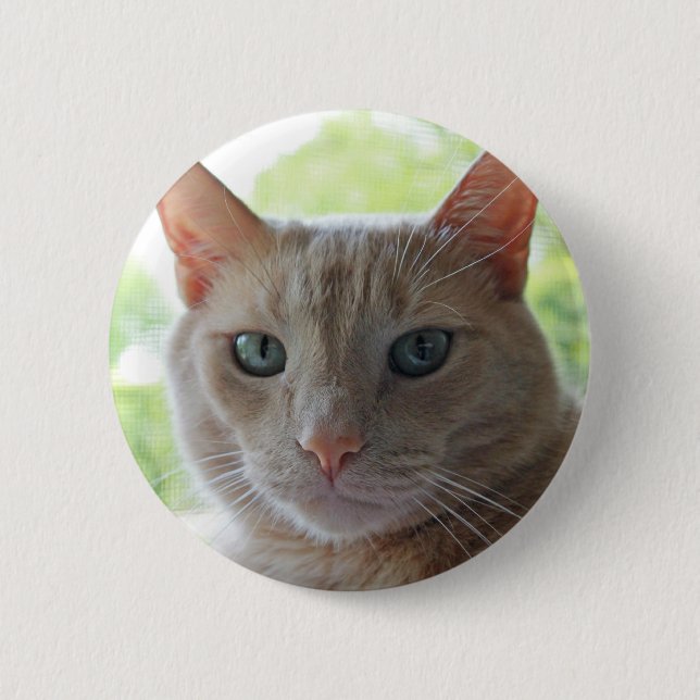 Sonnenschein-Miezekatze Button (Vorderseite)