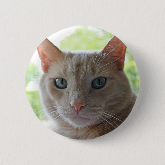 Sonnenschein-Miezekatze Button