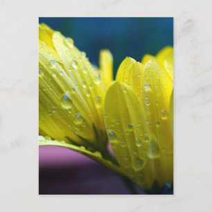 Sonnenschein nach dem Regenfoto Postkarte