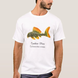 Sonnenschein Pleco T-Shirt