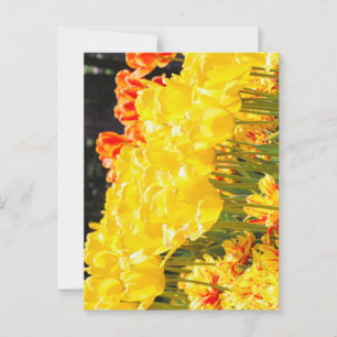 Sonnenschein Postkarte