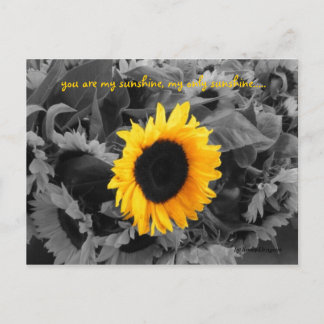 Sonnenschein-Postkarte Postkarte