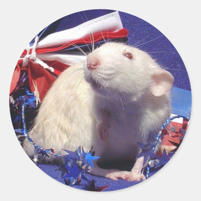 Sonnenschein Runder Aufkleber (Vorderseite)