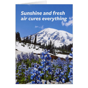 Sonnenschein und Frischluft