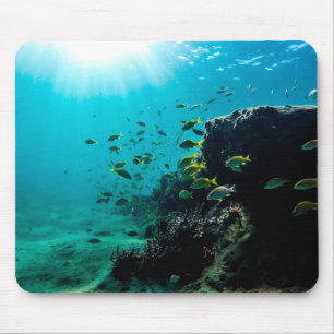 Sonnenschein und tropischer Fisch Mousepad