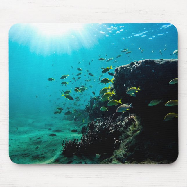 Sonnenschein und tropischer Fisch Mousepad (Vorne)